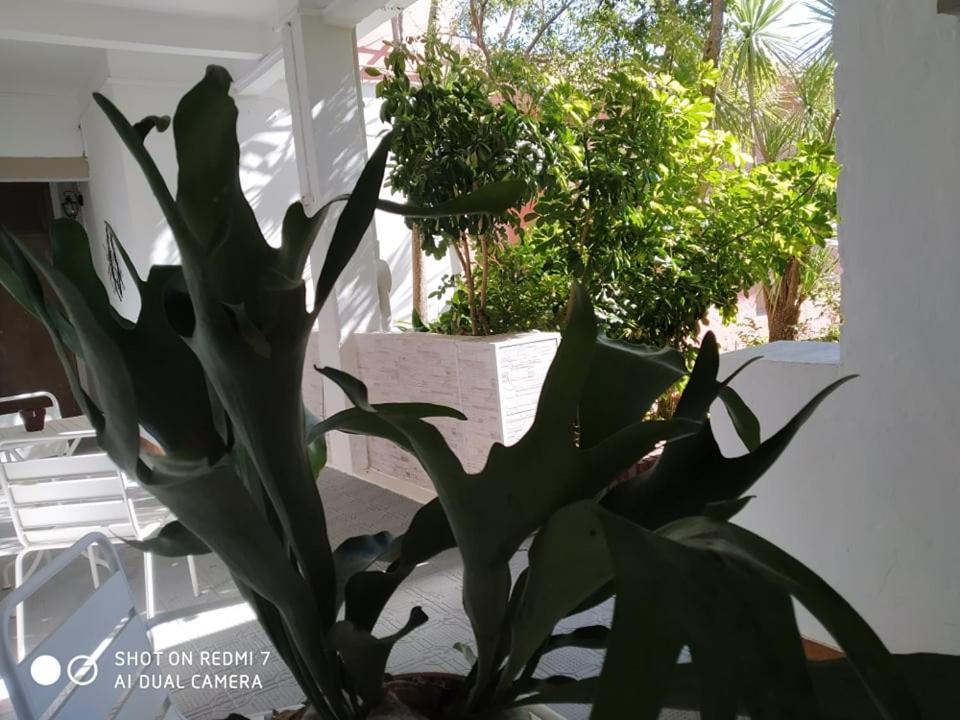 Hosteria Uruguay ปีรีอาโปลิส ภายนอก รูปภาพ